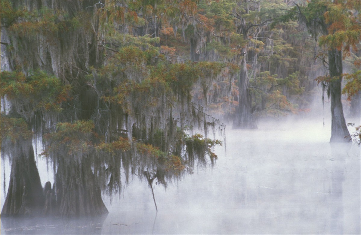Caddo Lake